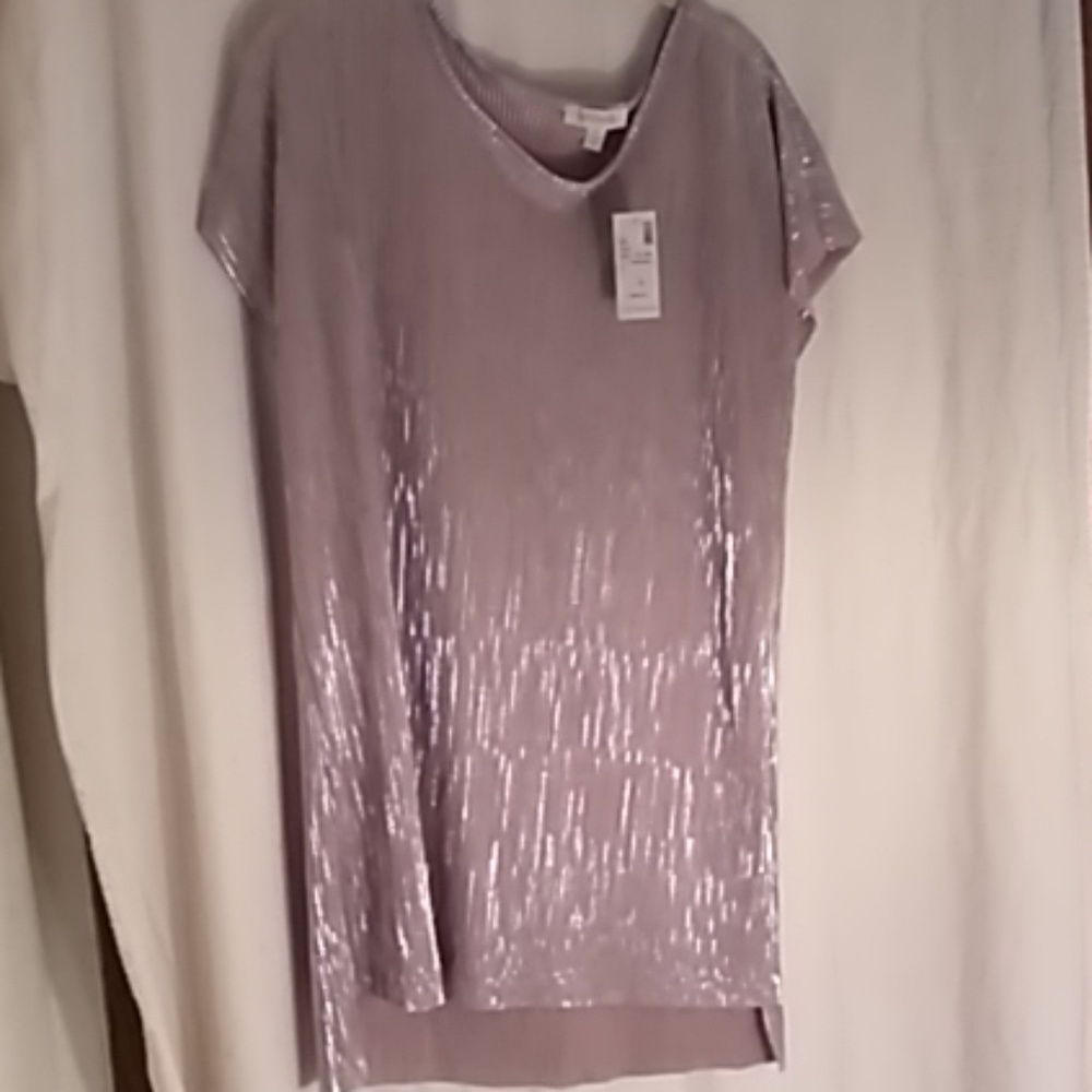 Loralette Shimmery dusty Rose top 1X